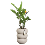 amber roll high 43cm greige